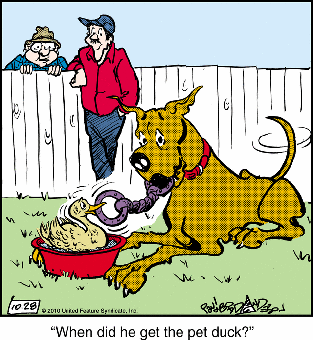 marmaduke